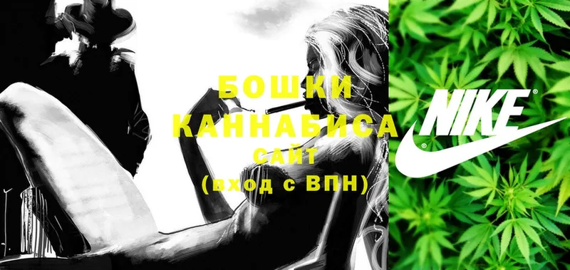 shop какой сайт  Елизово  МАРИХУАНА THC 21%  где найти наркотики 